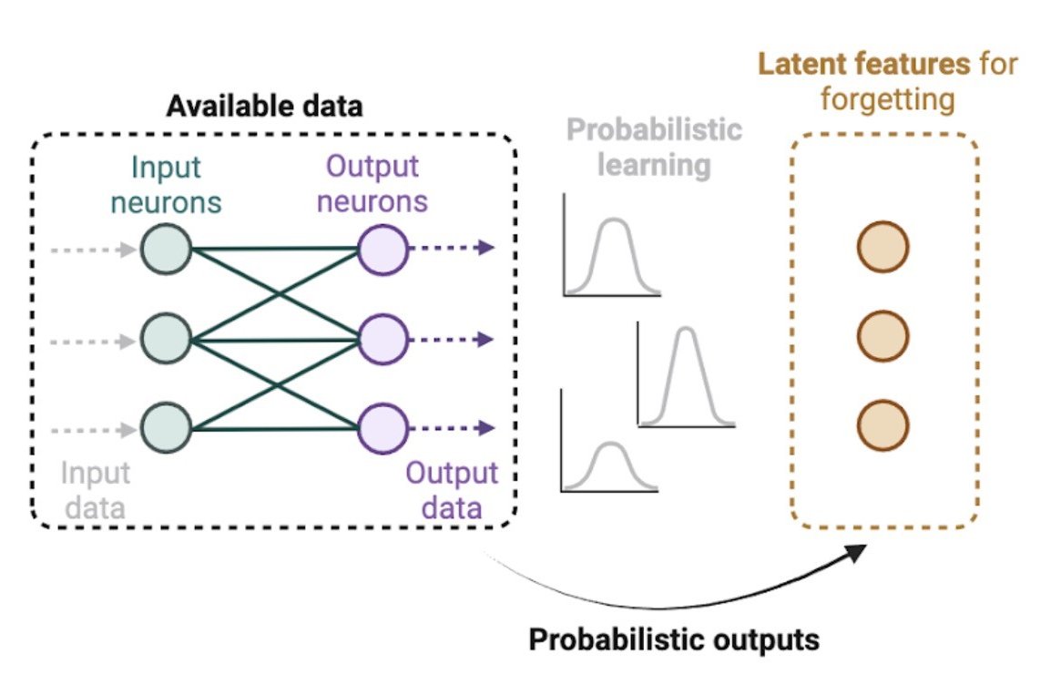 Exploring the hidden features of forgetting: A new AI-Neurobiology ...
